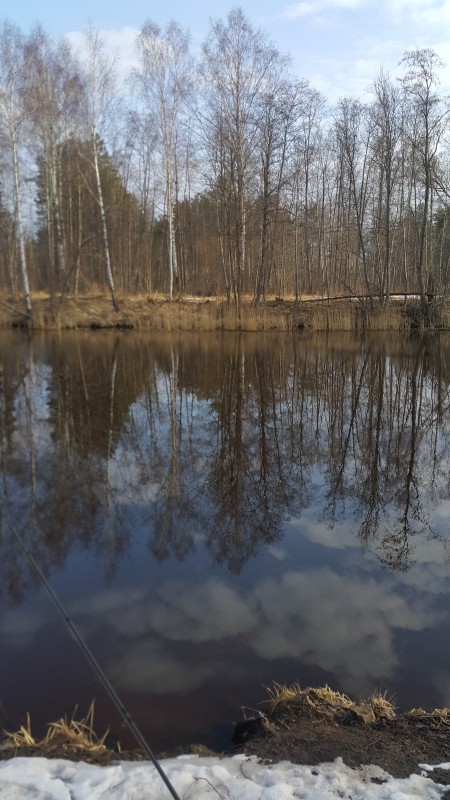 20210327_083355.jpg