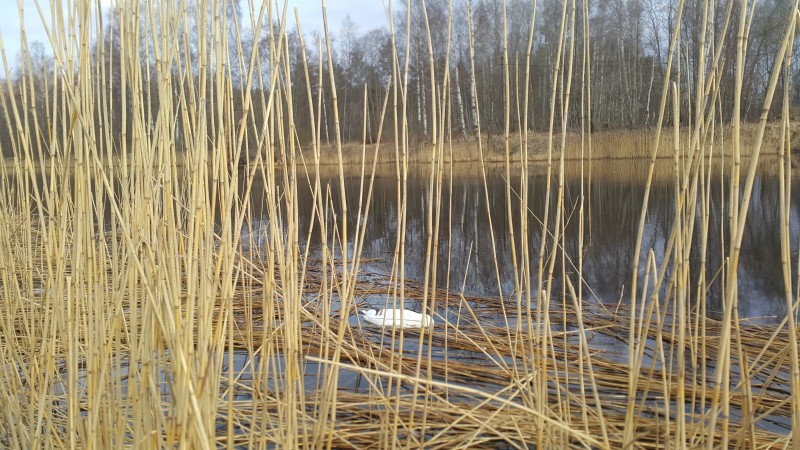 20210327_081502.jpg