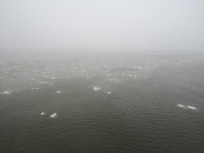 IMG_20210330_151729.jpg