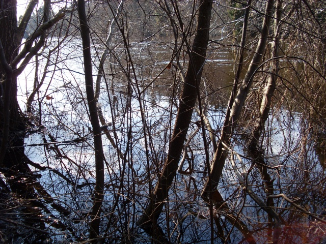 SL382289.JPG