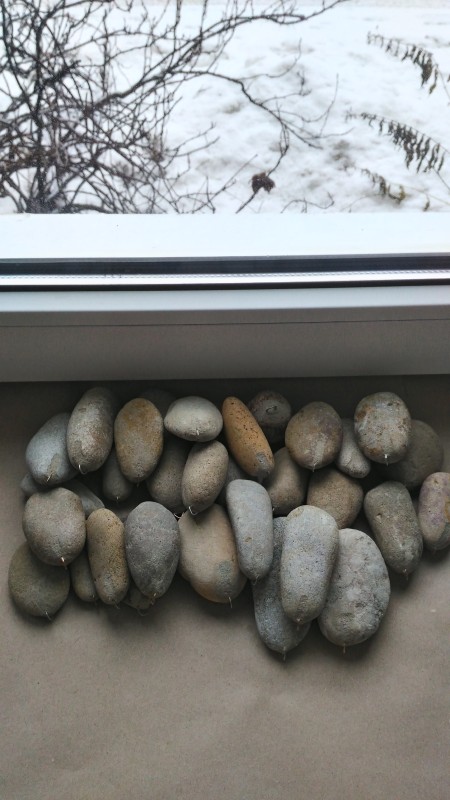 P_20211218_101428_HDR.jpg