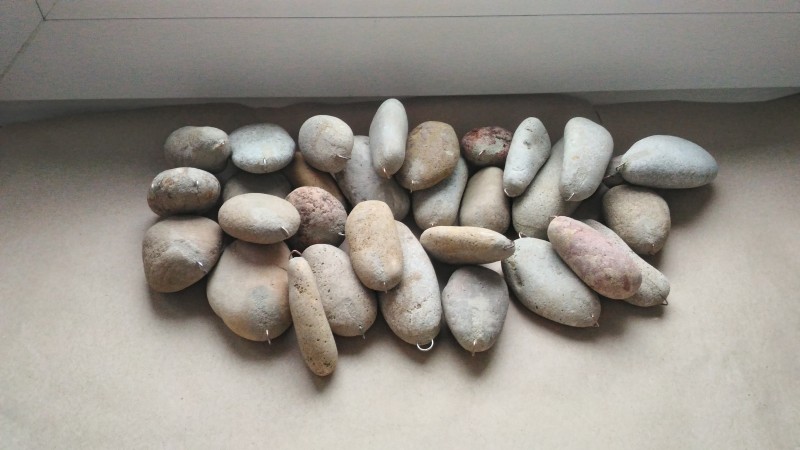 P_20211218_095557_HDR.jpg