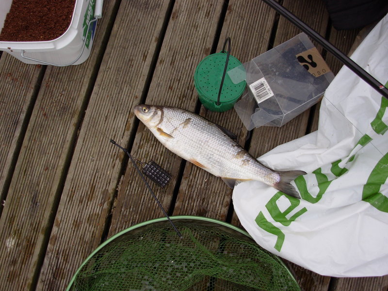 DSCN4255.JPG