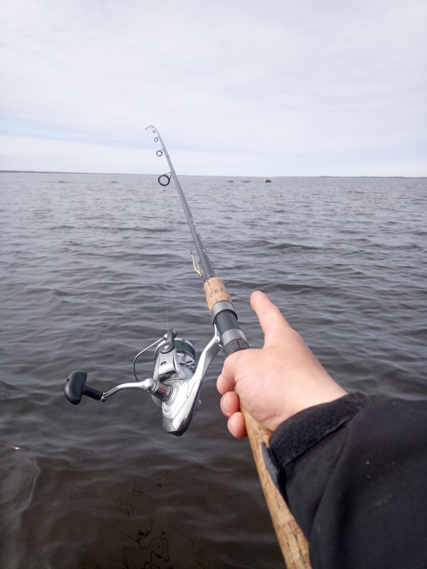 IMG_20220501_112926_8.jpg