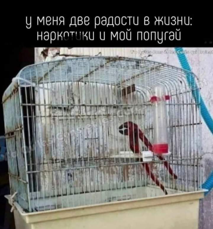 FB_IMG_1656931159063.jpg
