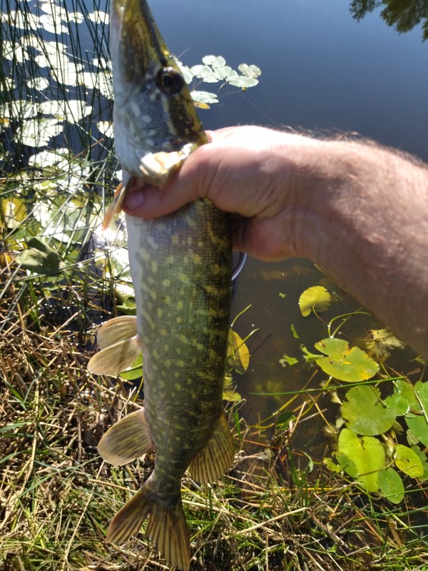 IMG_20220813_114946.jpg