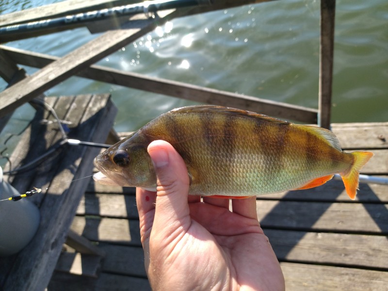 IMG_20220820_094302.jpg