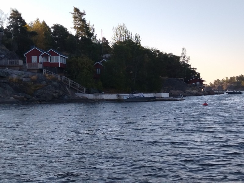 IMG_20220820_071247.jpg