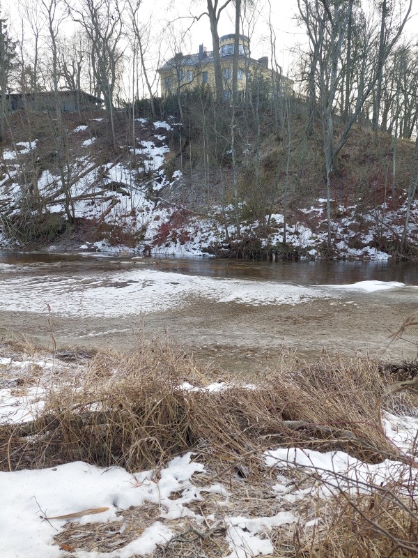 20230102_113150.jpg