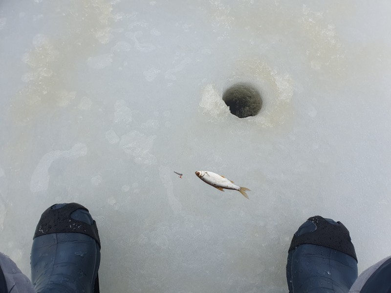 20230127_093338.jpg