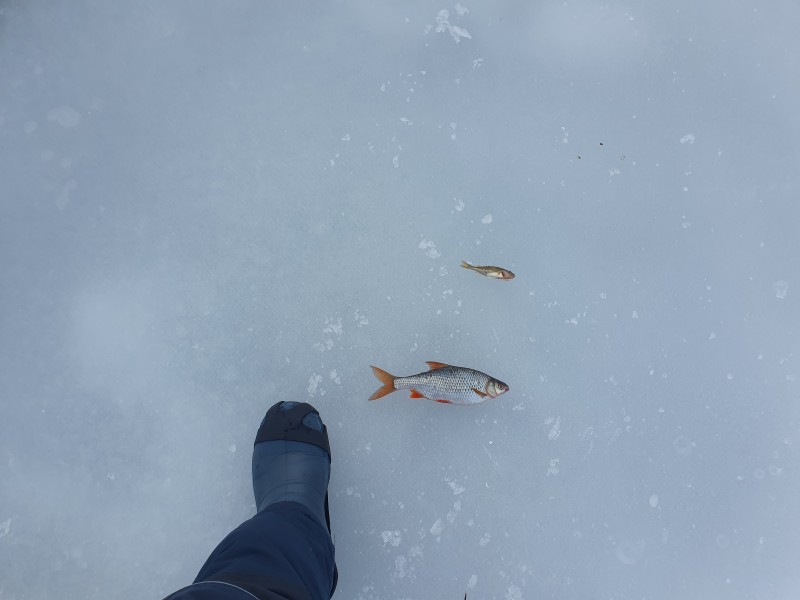 20230127_120808.jpg