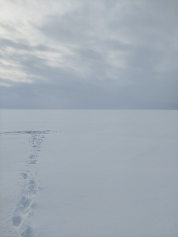 20230219_122736.jpg