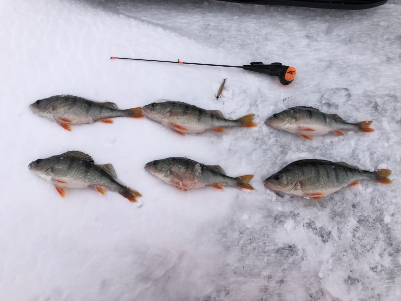 E4DDB064-F0CA-4F94-B0DF-5D815F68C32B.jpeg