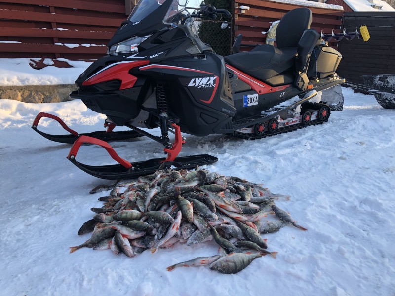 EFBEC500-5D0B-4497-B5D4-19562B89BBD3.jpeg