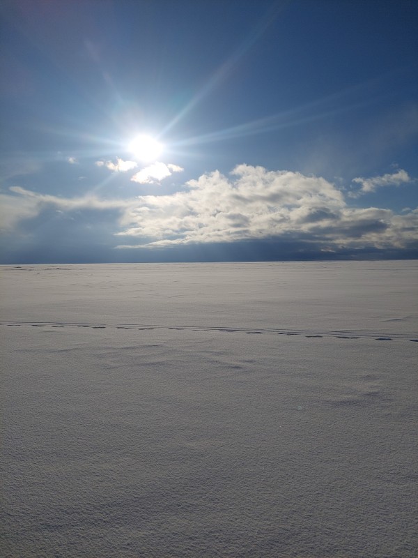 20230305_152516.jpg