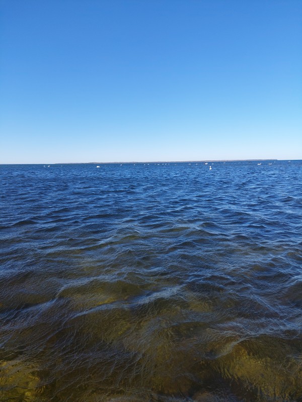 20230401_122440.jpg