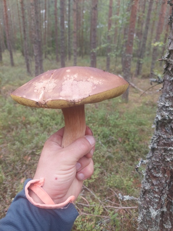 20230808_135900.jpg