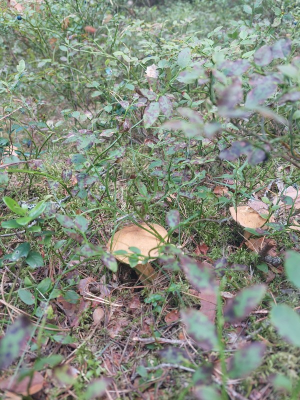 20230808_172437.jpg