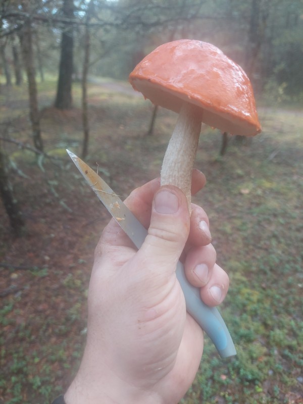 20230914_080210.jpg
