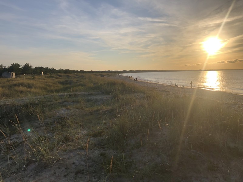 84FDDACA-6C02-4986-A55C-51C632F0F147.jpeg
