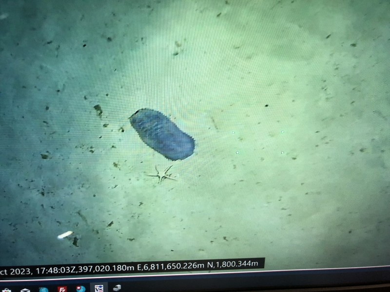 Фото с подводной камеры, глубина 1800м