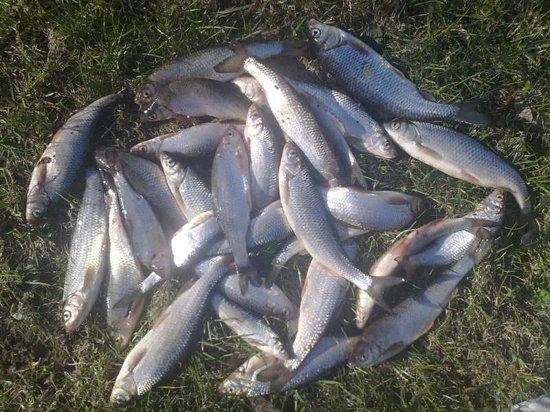 28042010158.jpg