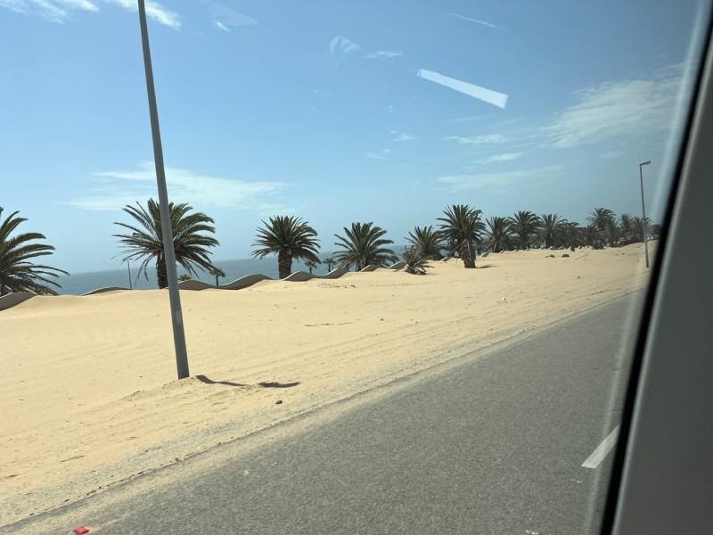 IMG_0262.jpeg