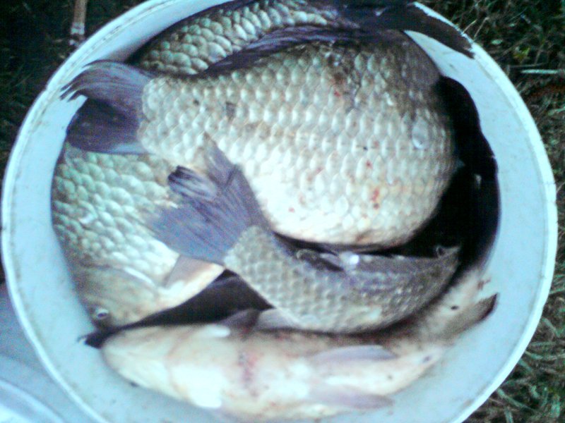 DSC00235.JPG