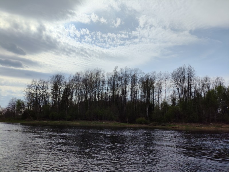 IMG_20240429_143519.jpg