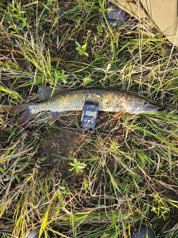 20240907_175205.jpg