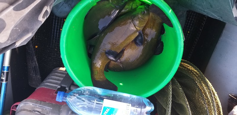 20240907_180551.jpg