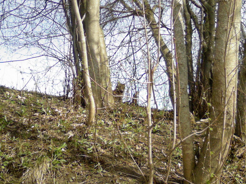 Photo-0014.jpg