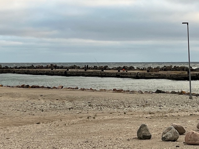 IMG_4414.jpeg