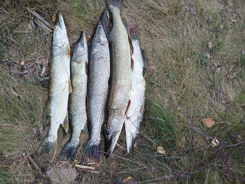 20240823_200156.jpg