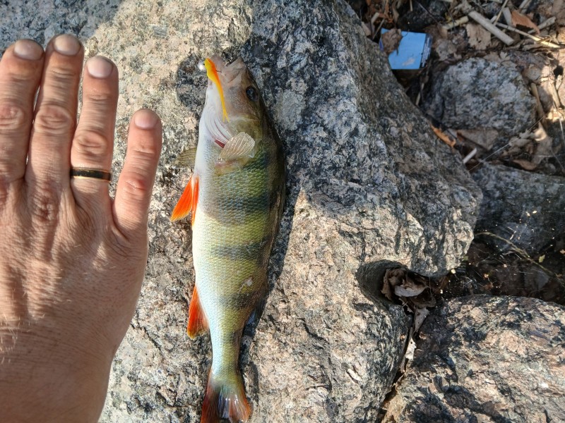 20240819_175817.jpg