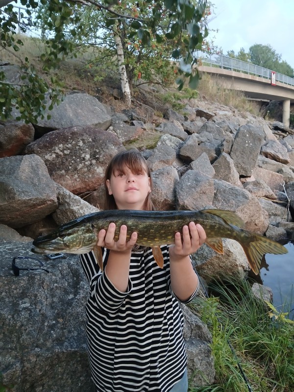 20240830_201552.jpg