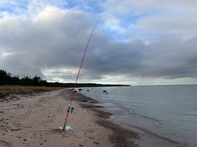 IMG_5517.jpeg