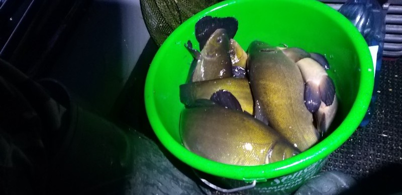 20250627_014538.jpg