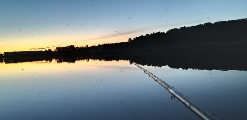 20250702_024022.jpg