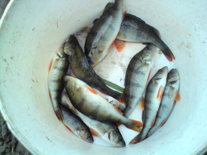 DSC00292.JPG