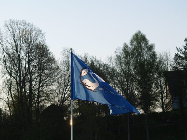 Picture 040.jpg