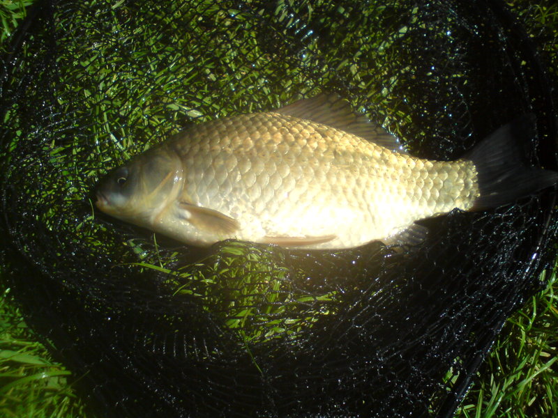DSC00300.JPG