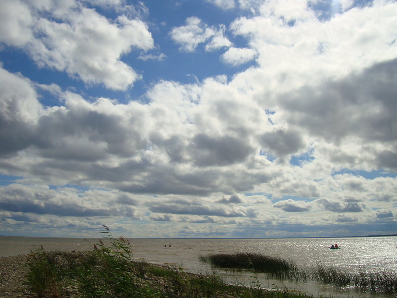 DSC00113.JPG