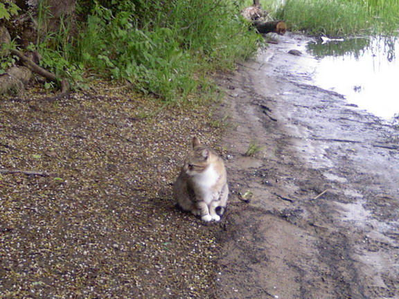Photo-0002.jpg