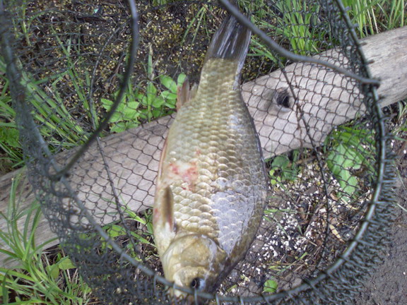 Photo-0004.jpg