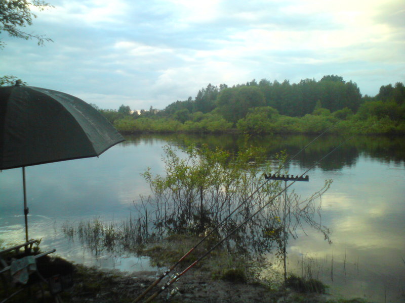 DSC00322.JPG