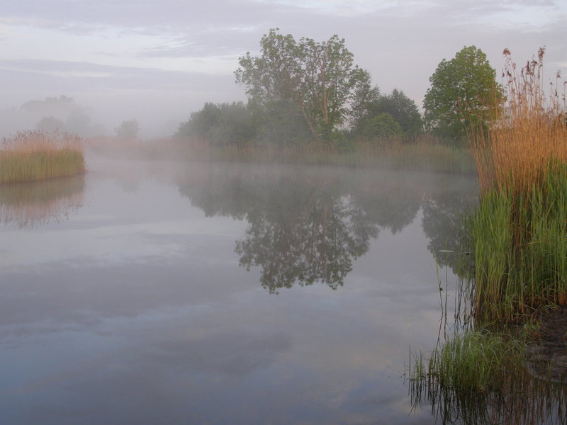 P5290822.JPG