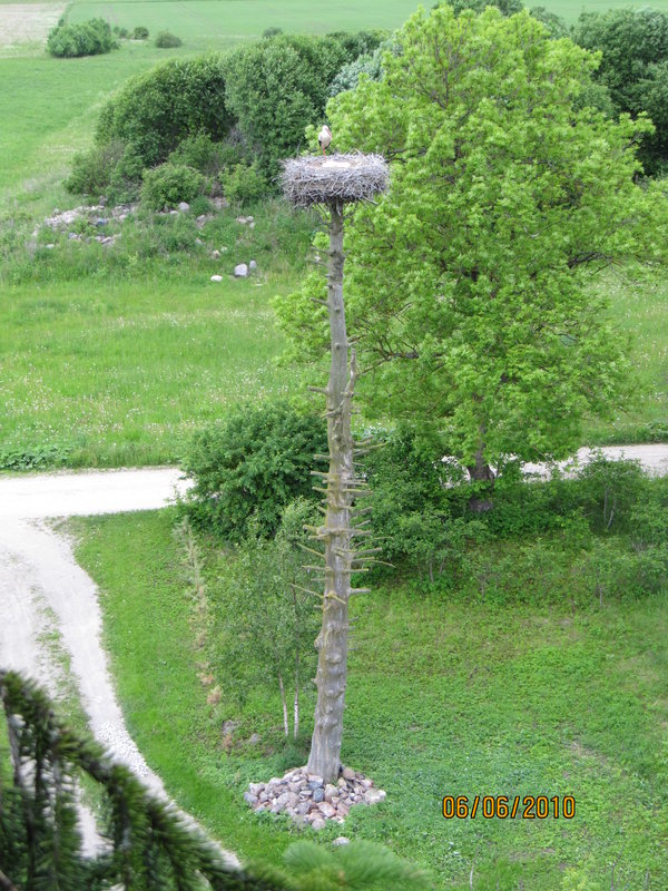 IMG_0759.JPG