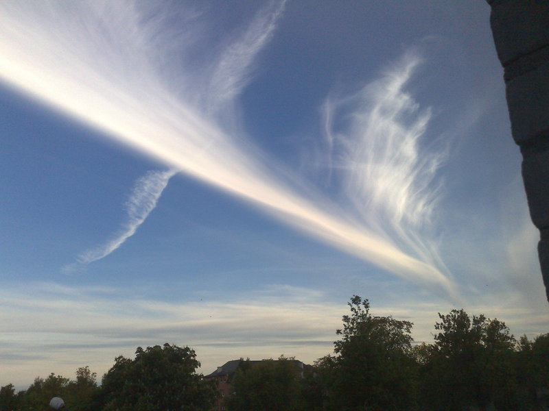 08062010942.jpg