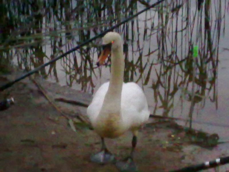 08062010080.jpg